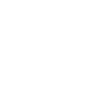 Auto Icon