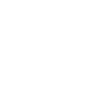 Marine Icon